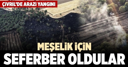MEŞELİK İÇİN SEFERBER OLDULAR