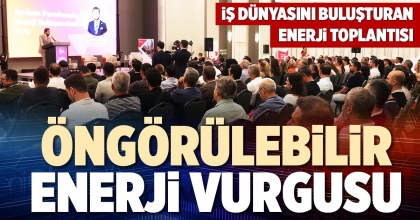 ÖNGÖRÜLEBİLİR ENERJİ VURGUSU