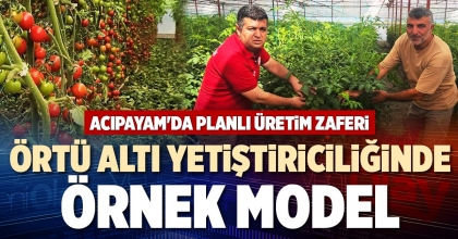 ÖRTÜ ALTI YETİŞTİRİCİLİĞİNDE ÖRNEK MODEL