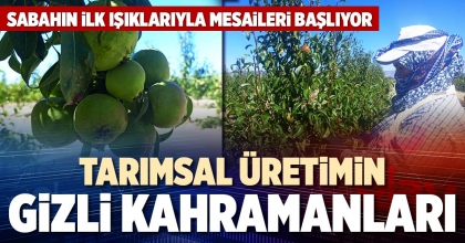 TARIMSAL ÜRETİMİN GİZLİ KAHRAMANLARI