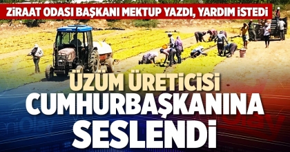 ÜZÜM ÜRETİCİSİ CUMHURBAŞKANINA SESLENDİ