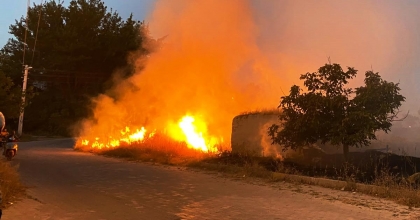 YERLEŞİME YAKIN ÇIKAN YANGIN KORKUTTU