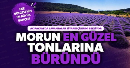 ACIPAYAM’DA LAVANTALAR ZİYARETÇİLERİNİ BEKLİYOR
