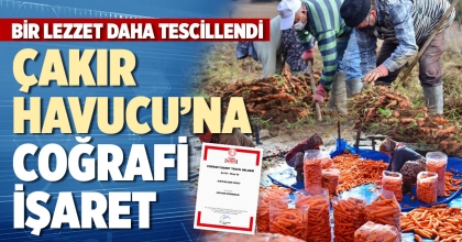 ACIPAYAM ÇAKIR HAVUCU’NA COĞRAFİ İŞARET ALINDI