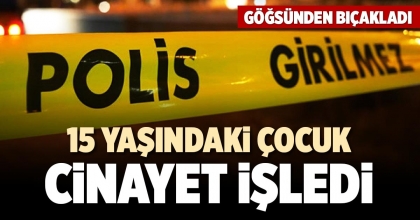 15 YAŞINDAKİ ÇOCUK CİNAYET İŞLEDİ