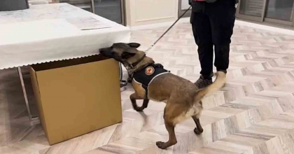 BELÇİKA MERKEZLİ SUÇ ÖRGÜTÜNE İZMİR’DE OPERASYON: 24 GÖZALTI