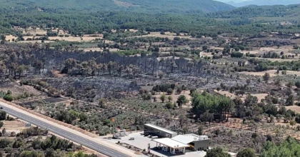 ALEVLER GERİDE KARA BİR TABLO BIRAKTI: 150 HEKTAR ZARAR GÖRDÜ