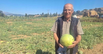 MANİSALI ÇİFTÇİ DEDE MİRASI ATA TOHUMU KARPUZ GELENEĞİNİ SÜRDÜRÜYOR