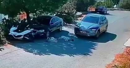 OTOMOBİLİYLE KÖPEKLERİN ÜZERİNDEN GEÇTİ
