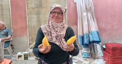 DOĞAL ŞİFA KAYNAĞI KUDRET NARI, TEZGAHLARI SÜSLEMEYE BAŞLADI