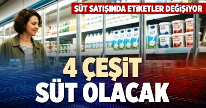 4 ÇEŞİT SÜT OLACAK