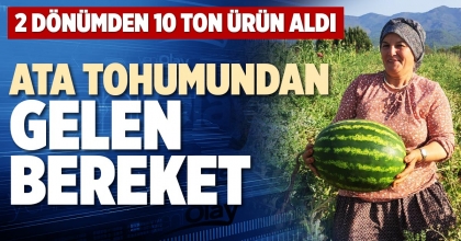 ATA TOHUMUNDAN  GELEN BEREKET