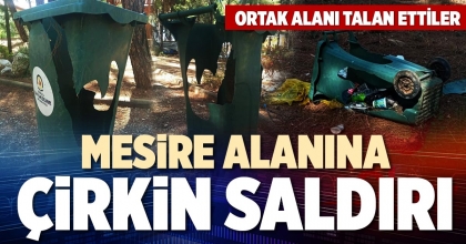 BEKİLLİ’DE MESİRE ALANINA ÇİRKİN SALDIRI
