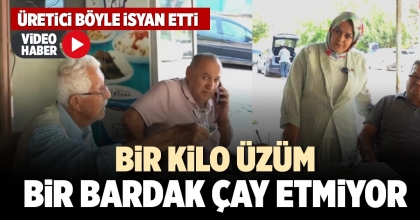 BİR KİLO ÜZÜM BİR BARDAK ÇAY ETMİYOR