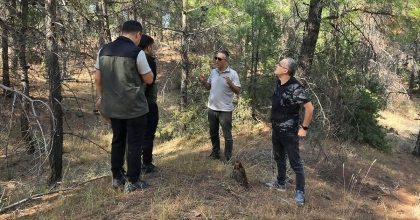ÇAL’DA ORMANCILIK ÇALIŞMALARI YERİNDE İNCELENDİ