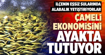 ÇAMELİ EKONOMİSİNİ AYAKTA TUTUYOR