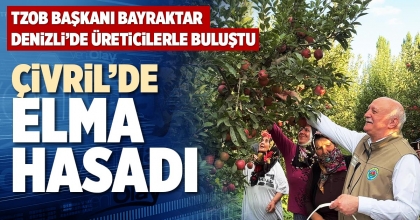 ÇİVRİL’DE ELMA HASADI