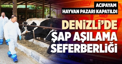 DENİZLİ’DE ŞAP AŞILAMA SEFERBERLİĞİ