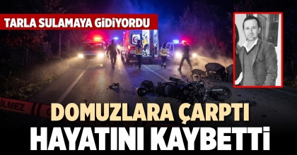 DOMUZLARA ÇARPTI  HAYATINI KAYBETTİ
