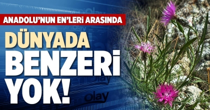 DÜNYADA BENZERİ YOK!