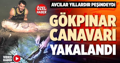 GÖKPINAR CANAVARI YAKALANDI