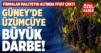 GÜNEY’DE ÜZÜMCÜYE BÜYÜK DARBE!
