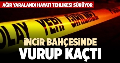 İNCİR BAHÇESİNDE VURUP KAÇTI