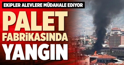 PALET FABRİKASINDA YANGIN