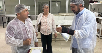 TATLININ KALBİNDE İNCELEME
