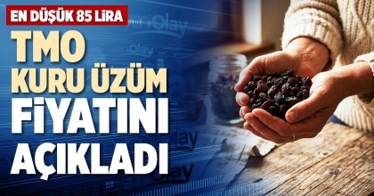 TMO KURU ÜZÜM FİYATINI AÇIKLADI