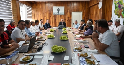 DENİZLİ’DE ÜZÜM ZİRVESİ