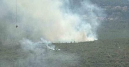 BODRUM’DA ORMAN YANGINI ÇIKTI
