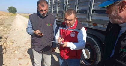 MANİSA’DA TARIMSAL ÜRETİMDE SAHA DENETİMLERİ SÜRÜYOR
