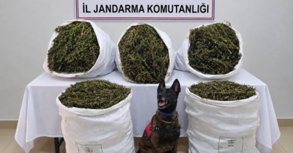 İZMİR’DE UYUŞTURUCU OPERASYONU