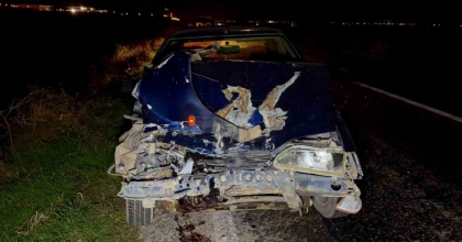 OTOMOBİLİN ÇARPTIĞI PATPAT 3 METRE YÜKSEKLİKTEN TARLAYA DÜŞTÜ
