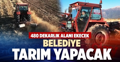 BELEDİYE TARIM YAPACAK