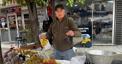 HAYDAR ÜZÜMLERİ TEZGAHLARDA YERİNİ ALDI
