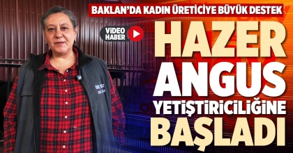 HAZER ANGUS YETİŞTİRİCİLİĞİNE BAŞLADI