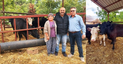 KALE’DE ÜRETİCİYE HAYVANCILIK DESTEĞİ