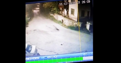 KURTLAR GÜVENLİK KAMERASINA TAKILDI