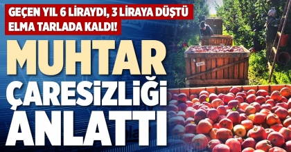 MUHTAR ÇARESİZLİĞİ ANLATTI