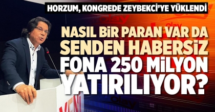 NASIL BİR PARAN VAR DA SENDEN HABERSİZ FONA 250 MİLYON YATIRILIYOR?