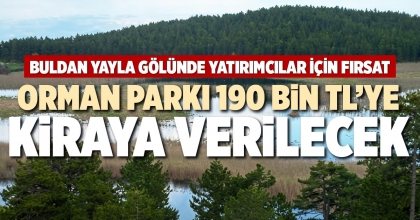 ORMAN PARKI 190 BİN TL’YE KİRAYA VERİLECEK