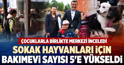 SOKAK HAYVANLARI İÇİN  BAKIMEVİ SAYISI 5'E YÜKSELDİ