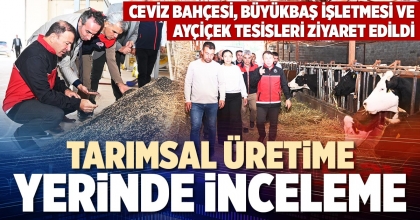 TARIMSAL ÜRETİME YERİNDE İNCELEME