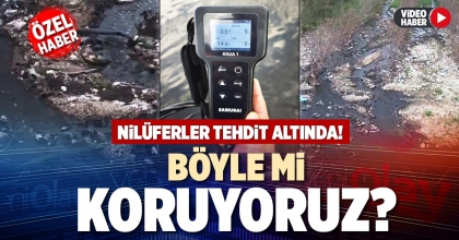 BÖYLE Mİ KORUYORUZ?
