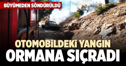 OTOMOBİLDEKİ YANGIN ORMANA SIÇRADI