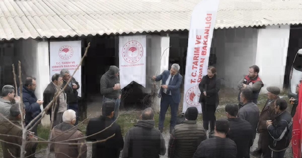 CEVİZ ÜRETİCİLERİNE FİDAN DAĞITIMI