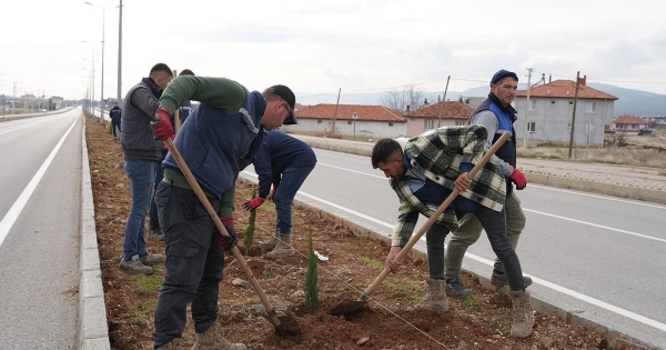 ÇEVRE YOLU REFÜJÜ AĞAÇLANDIRILIYOR