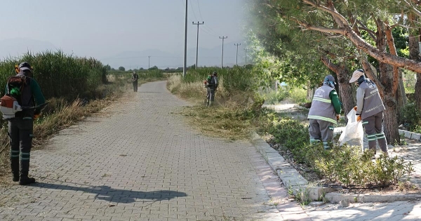 61 MAHALLEDE YABANİ OT MESAİSİ